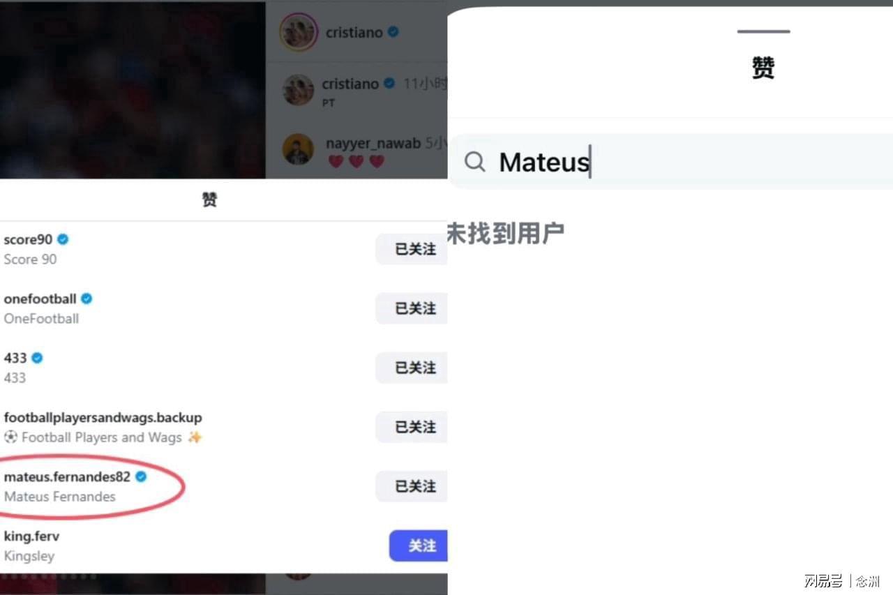 今年会·(jinnianhui)网站展示图片