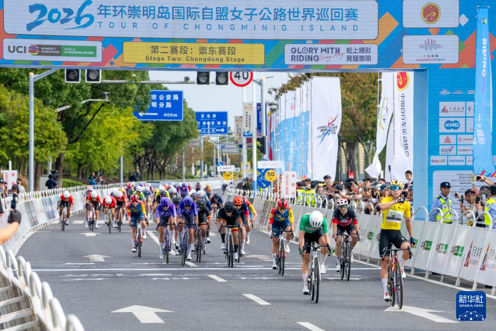 今年会·(jinnianhui)网站介绍图片